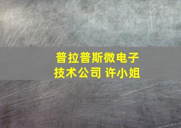 普拉普斯微电子技术公司 许小姐